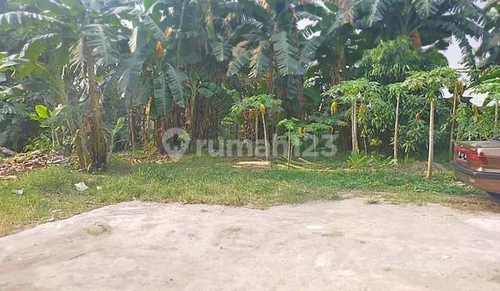 Dijual tanah siap huni dan bebas banjir Jl kedondong, Margonda Depok