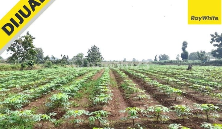 Tanah di Gunung Sugih