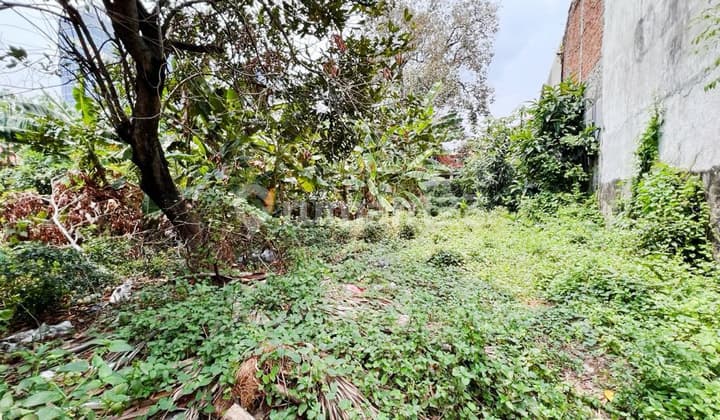 Kavling Siap Bangun Di Jl Gereja Buntu Cilandak Jakarta Selatan