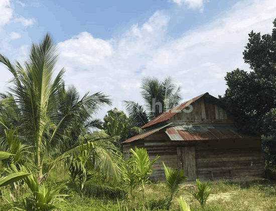 Lahan Kebun Dekat Citra Raya City Di Muaro Jambi S7022