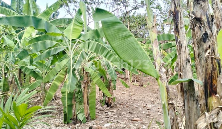 Tanah/kav Matang Di Baleendah, LM 20mt, Akses 2 Mobil