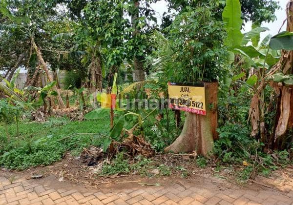 Jual Murah Kavling Cantik Cibogo Cisauk Dekat Bsd City