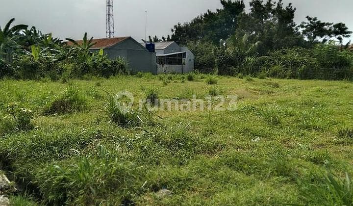 Jl.setapak Pondok Jaya Cipayung Depok