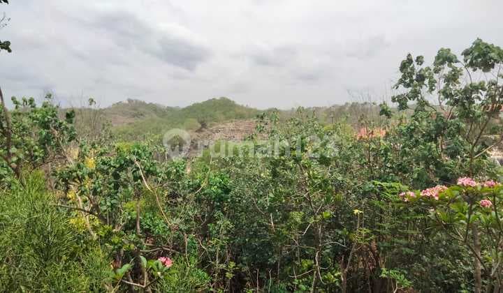 Exclusive 2000 Square Meter Land in the Mbhuluk Beach Area, Gunung Kidul