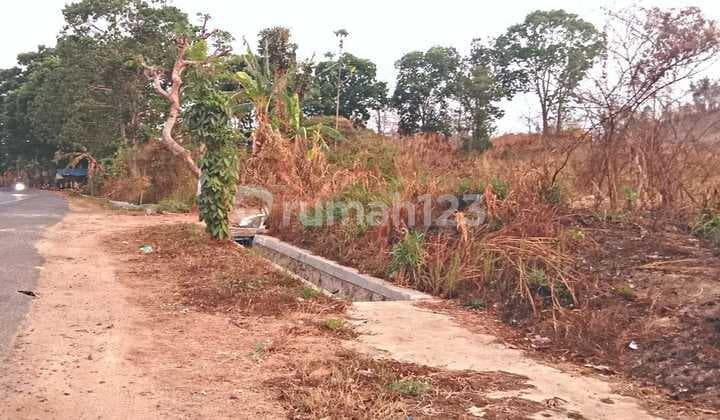 Tanah Pinggiran Kota Bandar Lampung