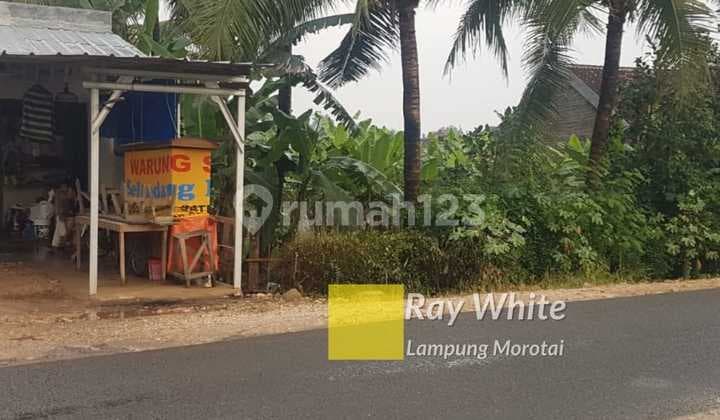 Tanah Mangku Jalan Siap Bangun ay