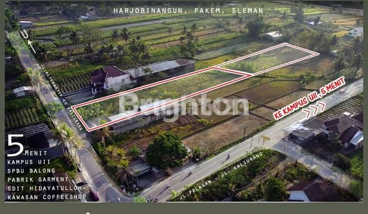 TANAH SHM SAWAH JALUR KUNING BISA KERING