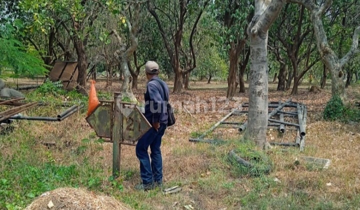 Tanah Kavling Siap Bangun Di Taman Golf Selatan Jababeka Cikarang