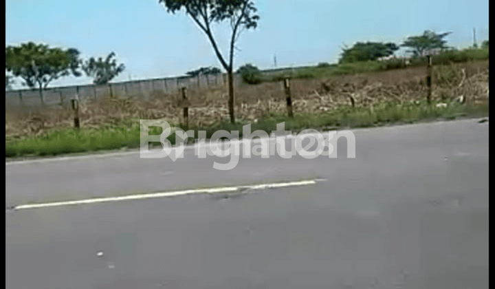 Land on Jl. Raya Widang Tuban, Tuban East Java, Freehold Title 40,000 m²