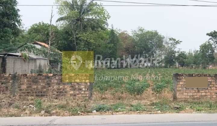 Tanah Siap Bangun ml