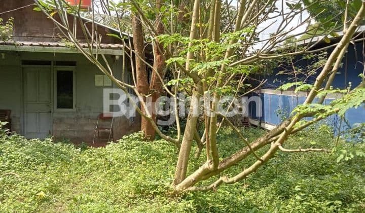 LAHAN BEKAS KANDANG AYAMKANDANG DAN PERALATAN DALAM KONDISI TERAWATDI UNGARAN TIMUR - SEMARANG