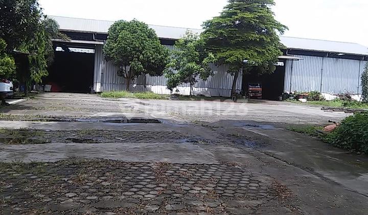 Gudang Hitung Tanah Di Palimanan Cirebon Dekat PrapatanCiwaringin Gudang Hitung Tanah Di Palimanan Cirebon Dekat PrapatanCiwaringin