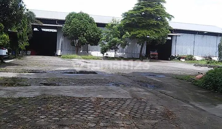 Gudang Hitung Tanah Di Palimanan Cirebon Dekat PrapatanCiwaringin