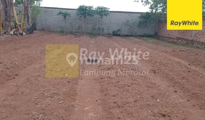 Tanah Murah di Natar