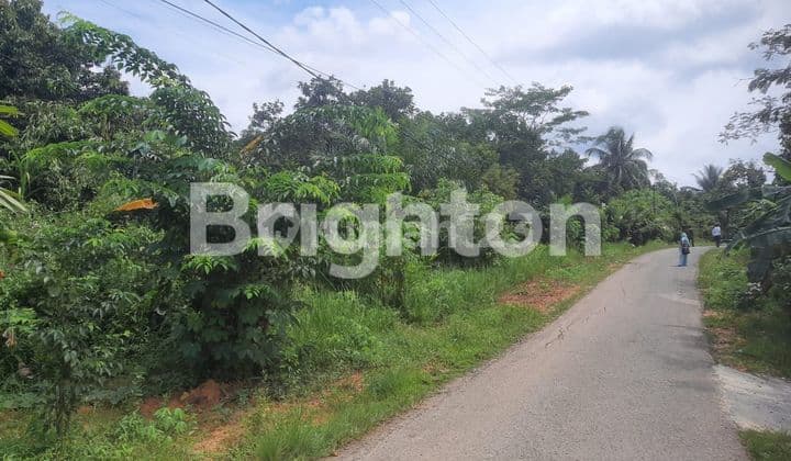 LAHAN DI JALUR IKN COCOK DI BANGUN PERUMAHAN