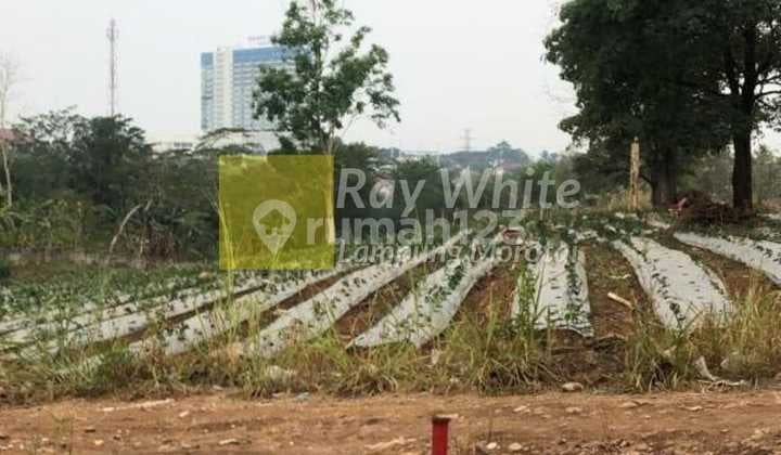 Tanah Perkebunan Sipa Bangun lin