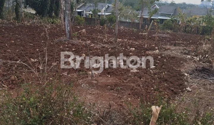 TANAH LUAS DEKAT UNDIP DI MULAWARWAN UTARA DALAM, TEMBALANG TANAH LUAS DEKAT UNDIP DI MULAWARWAN UTARA DALAM, TEMBALANG