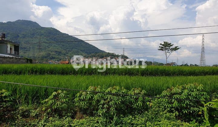 Tanah Sawah luas di Jatinangor dekat kampus Unpad dan ITB