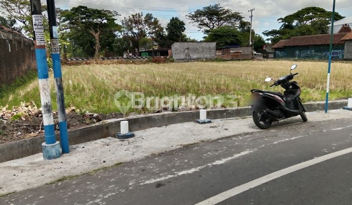 SAWAH JALUR KUNING, BISA DIKERINGKAN, PINGGIR JALAN RINGROAD SELATAN, TIMUR POOL BUS SUMBER ALAM, MANGKU JALAN ASPAL KAMPUNG , JALUR TRUK , CONTAINER DAN BUS