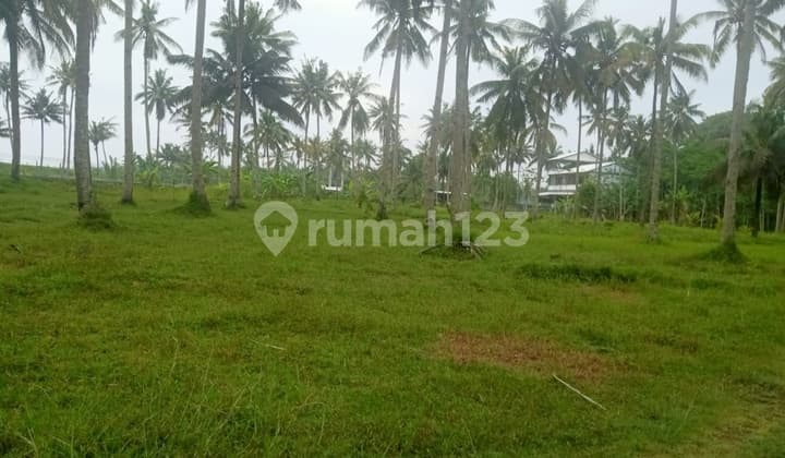 TANAH VIEW PANTAI COCOK UNTUK VILLA, CAFE DI PANGANDARAN