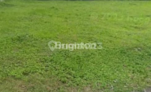 Woodland Citraland Land Plot Close to Modern Market Woodland Citraland Land Plot Close to Modern Market