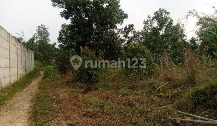 Tanah Dekat Perumahan Citaville Parung Panjang Tangerang S7185