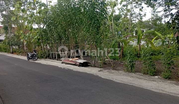Large Yard Land 382 Square Meters Location Balecatur Gamping Sleman