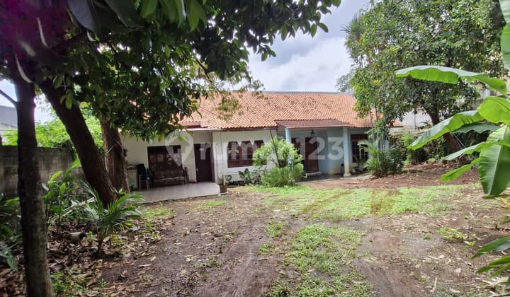 DIJUAL CEPAT Rumah Tua BUKIT CINERE Hitung Tanah