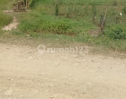 Tanah Muara Gembong Kab Bekasi