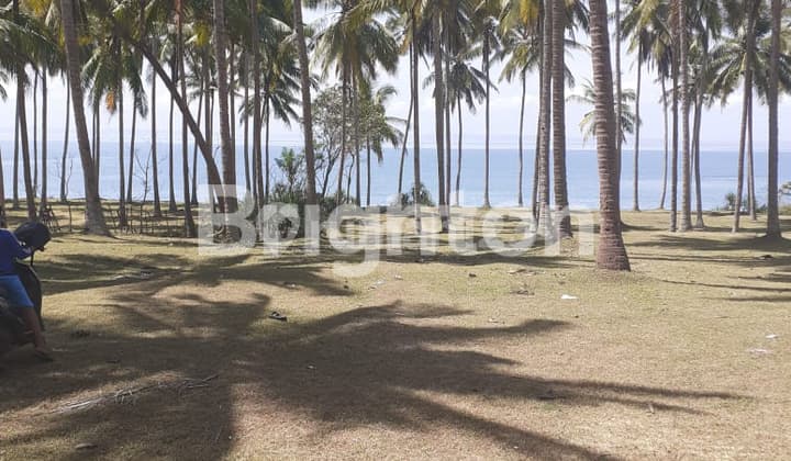 TANAH LOS DI PANTAI NEGARA