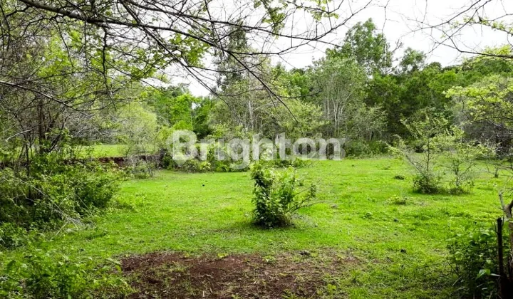 Land in Pecatu, Uluwatu, Bali Land in Pecatu, Uluwatu, Bali