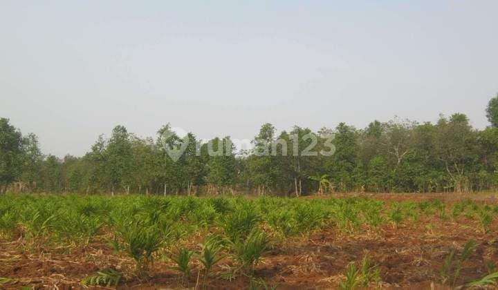 Tanah Kavling Siap Bangun Di Taman Sari Setu Bekasi S7179