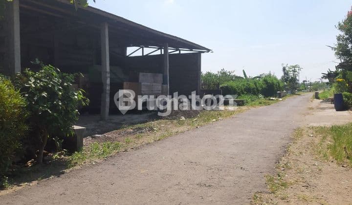 TURUN HARGA LAHAN LUAS EX PABRIK TULUNGAGUNG BISA NEGO HGB PANJANG