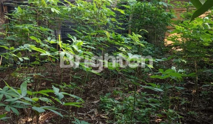 Tanah 1000 M2 di Gandul , Pangakalan Jati , Dekat dengan Jakarta Selatan