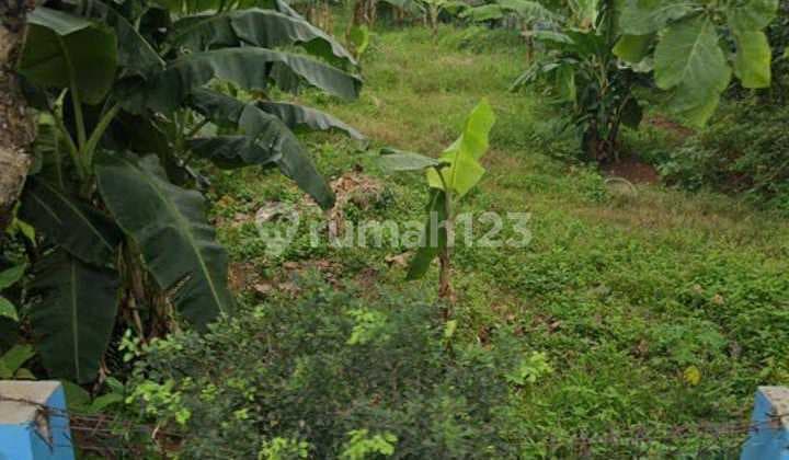 Cepat Tanah Bagus Strategis di Kukusan