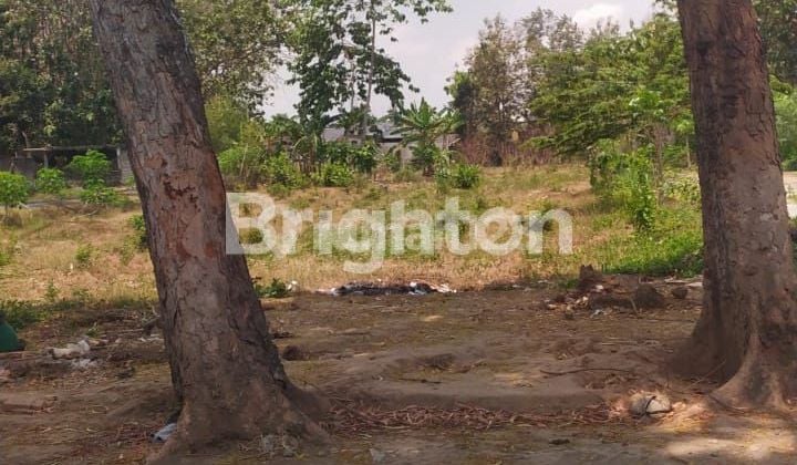 tanah 885m2 dekat GOR Lembupeteng, Tulungagung