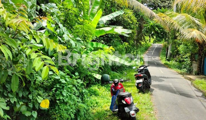 LAHAN DI KAWASAN VILLA & HOTEL DI UBUD, BALI