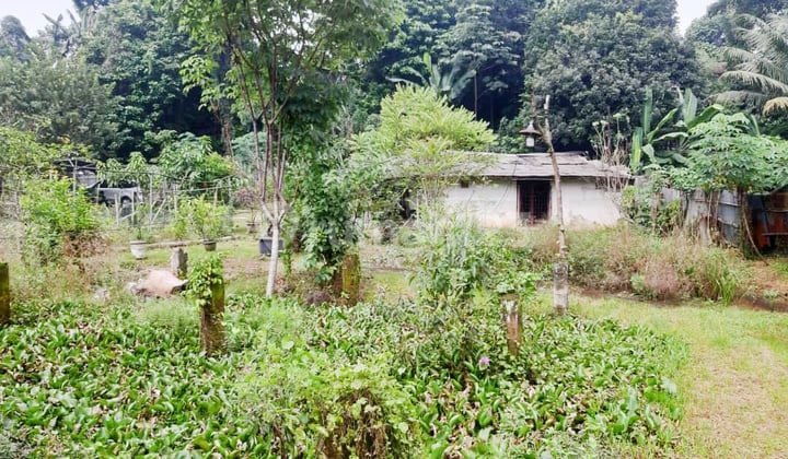 Kavling Siap Bangun Di Jl Lingkar Selatan, Kp Baruasih, Setu Pamulang Tangerang Selatan