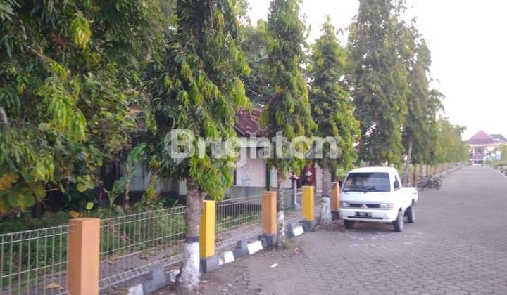 JARANG ADA, JUAL CEPAT TANAH MEPET KAMPUS MERCU BUANA