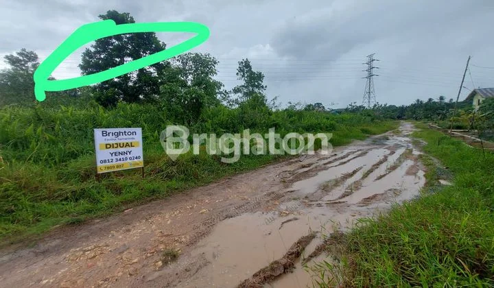 TANAH SHM LUAS 1 HEKTAR DI JL KOPI TANAH SHM LUAS 1 HEKTAR DI JL KOPI