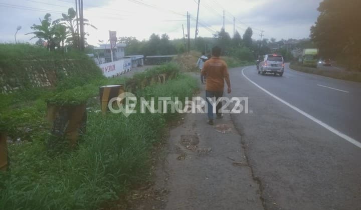 Industrial Land in Red Zone Area, Batang Region
