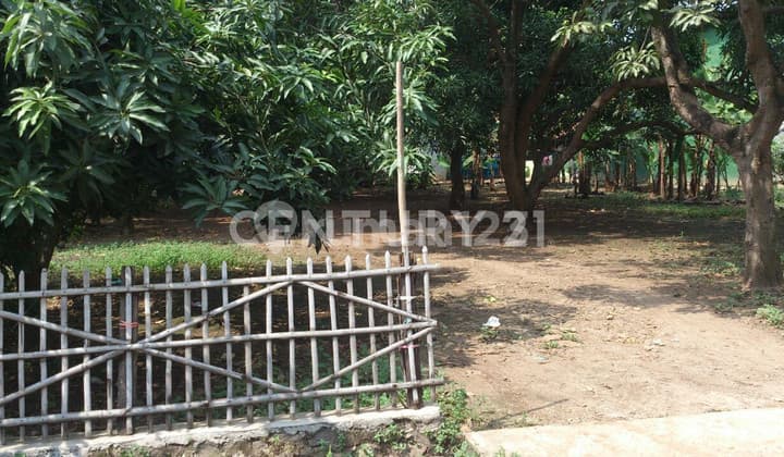 Tanah Kondisi Rata Cocok Untuk Gudang Pabrikatau Pabrik Di Klari Karawang Timur S7353