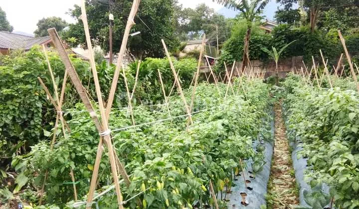 Tanah Luas Cisarua dekat Taman Safari