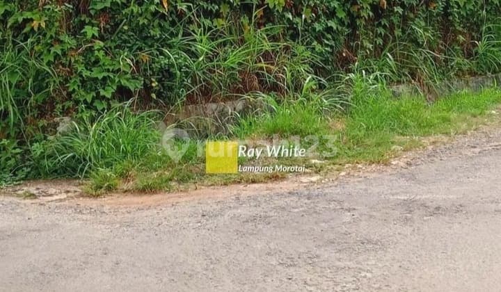 tanah murah 700 jutaan lokasi gunung terang bandar lampung