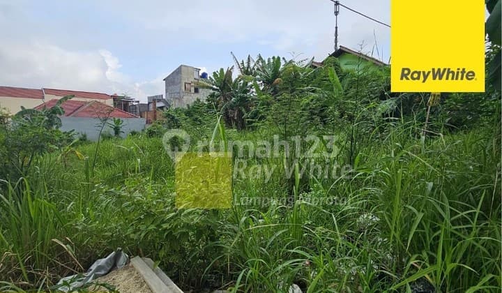 Tanah Murah Bandar Lampung