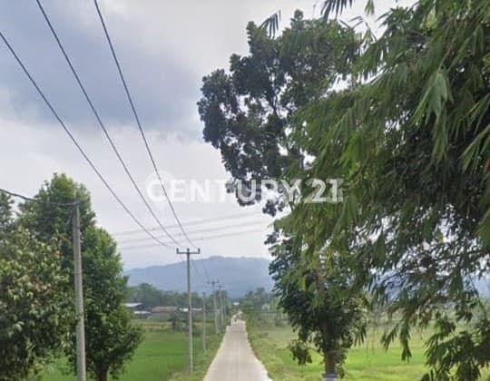Land in the Cileungsi Area, Bogor, West Java