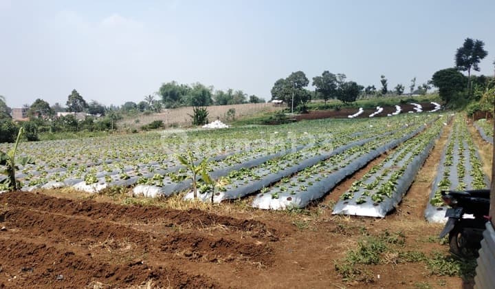 Tanah Luas dan Strategis di Pusat Kota Cimahi cocok untuk perumahan/ developer