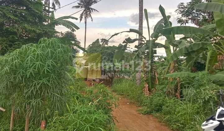 Miliki Sekarang Tanah Sangat Strategis