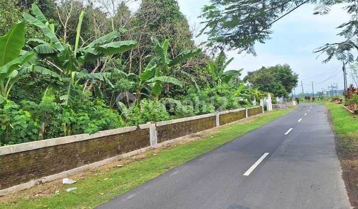 Tanah Luas 2380 Meter Persegi Lokasi Delanggu Klaten