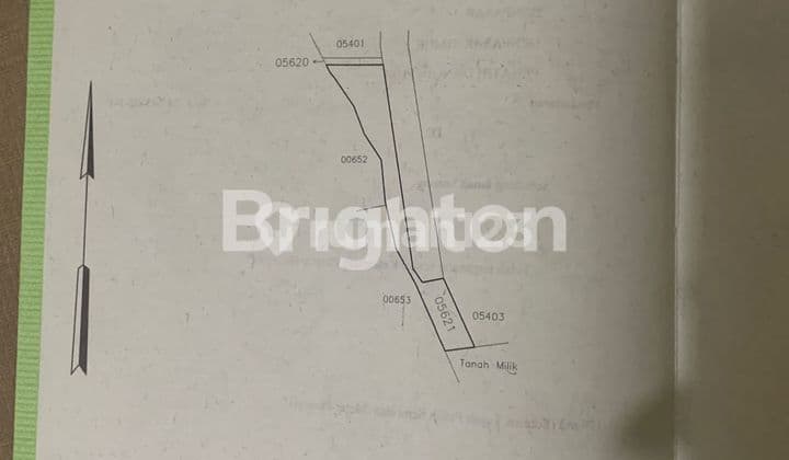 Cheap Land in East Denpasar